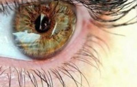 Який колір очей найрідкісніший?