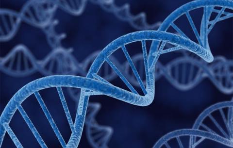 Что такое ДНК-генеалогия?