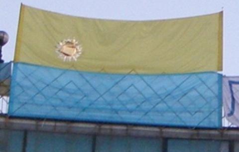 Жовто-блакитники